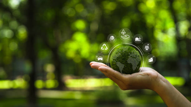 Hand holding a green globe in the concept of nature about management esg